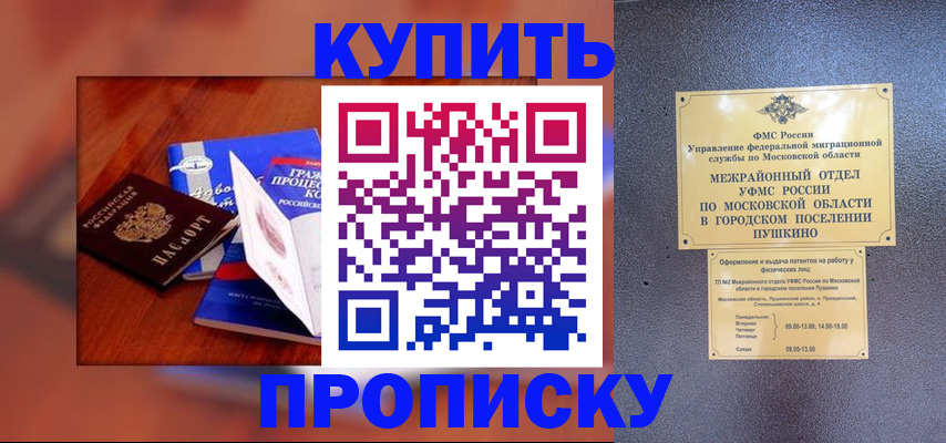 прописка в квартире в Королёве